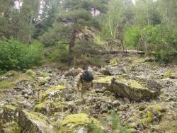Кавказ. Склон из мелких валунов. Ботинок не скользит.